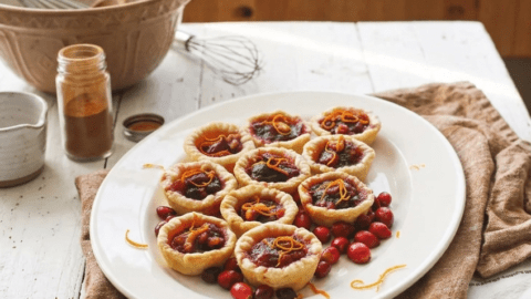plate-of-beautiful-cranberry-tartlets-on_Alqfxh_NUPG2D2_fOxnWlQ_7pGPksa_TLal1FtGs83MHA