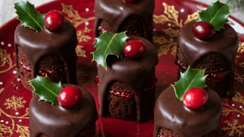 plate-of-chocolate-cranberry-christmas-m_iUKNzMpmVIeS7AEhOW4dKA_jBps8-b1T06PLLoMk0Eynw