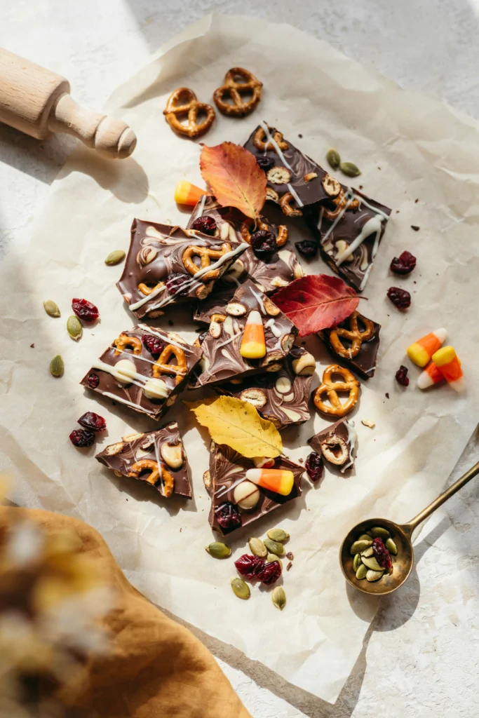 Harvest snack mix chocolate bark with pretzels, pumpkin seeds, and dried cranberries